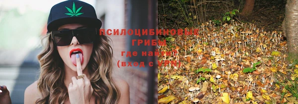 мет Медвежьегорск