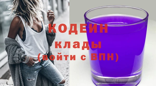 мет Медвежьегорск