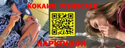 мдпв Жуковский
