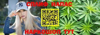 мдпв Жуковский