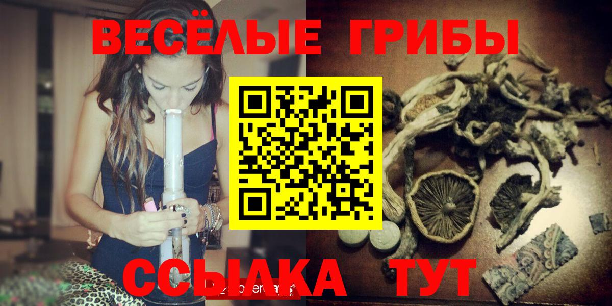 Псилоцибиновые грибы Psilocybine cubensis Шахты