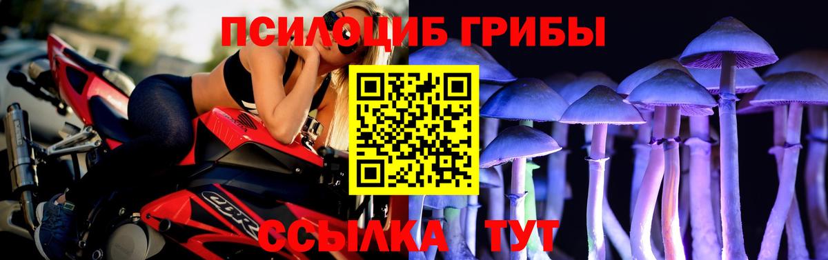 наркошоп  Шахты  Псилоцибиновые грибы Cubensis 